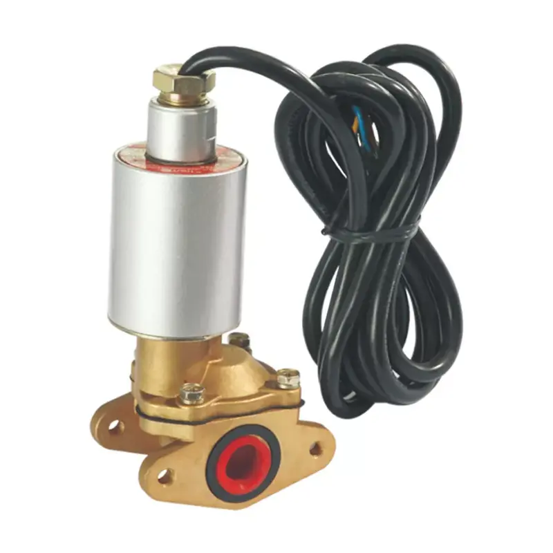 Solenoïde klep van de brandstofdispenser