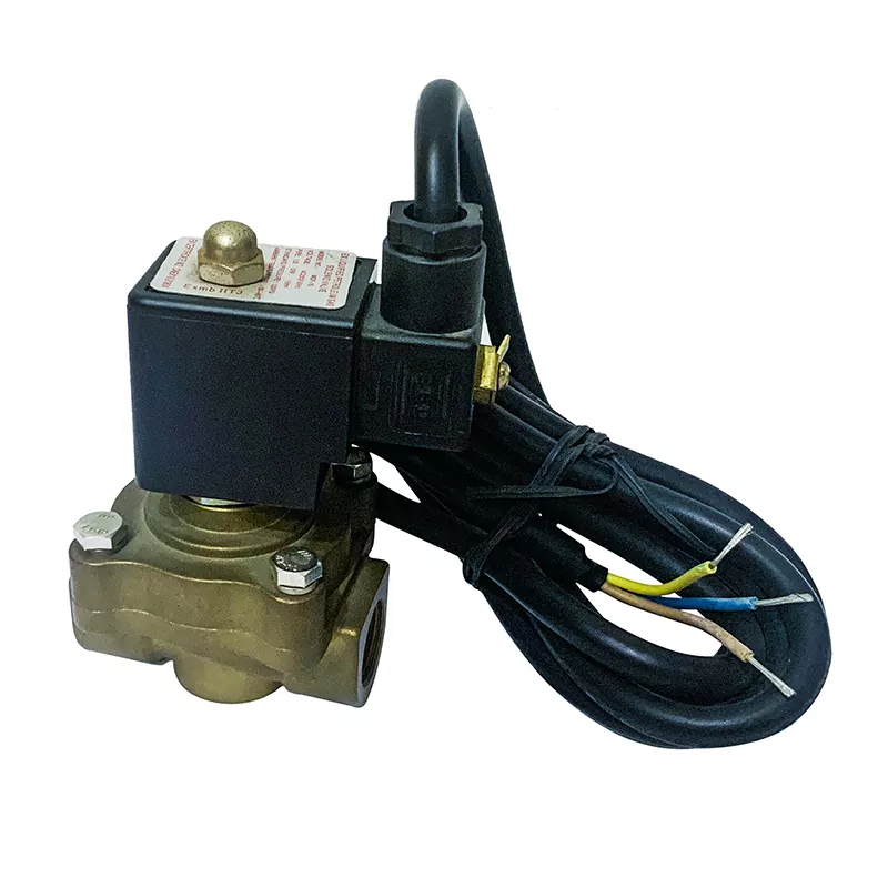 Enkele stroom LPG Dispenser Solenoïde klep